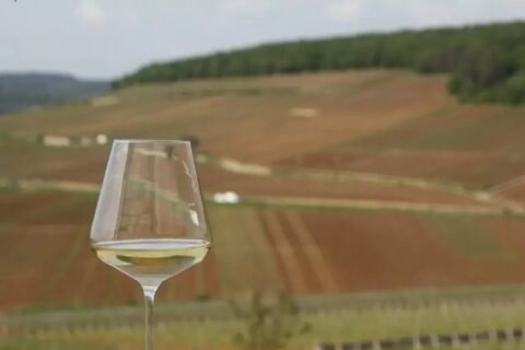 Chablis Photo DR Clement Lhote- www.bourgognes.wine