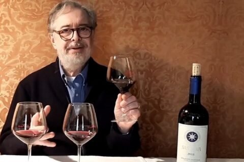 Daniele Cernilli e la verticale storica di Sassicaia
