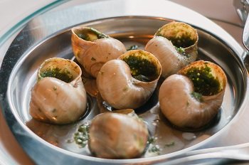 Oasi, il primo bar à vin di Milano