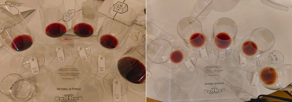 Vertical 10 vintages of Saffredi