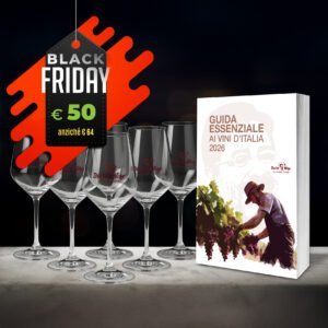 Black Friday Guida + 6 calici DoctorWine