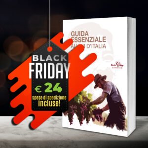 Black Friday Guida 2026 (spedizione inclusa)