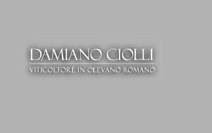 Damiano Ciolli logo