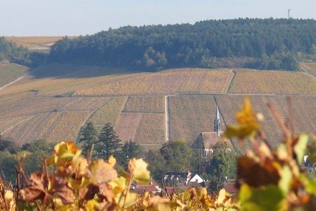 Les Clos vigneti foto Servant J.C. 