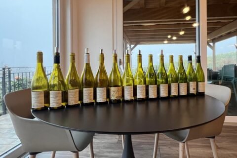 Verticale Colli Tortonesi Timorasso Il Montino La Colombera