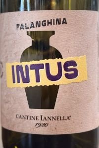 Beneventano Falanghina Intus 2021
