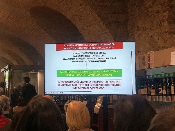 Effetti del cambiamento climatico