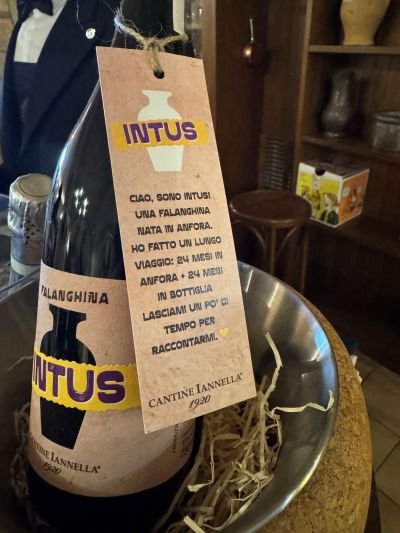 Intus Falanghina Beneventano Cantine Iannella