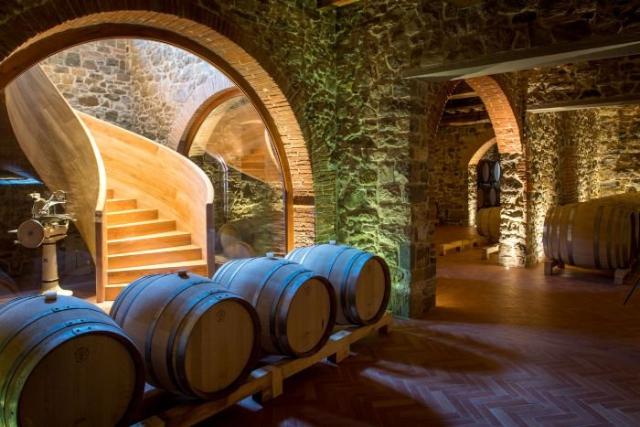 Tenuta Casenuove, cantina