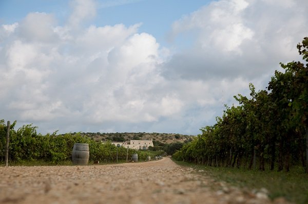Masseria Le Fabriche Avenue