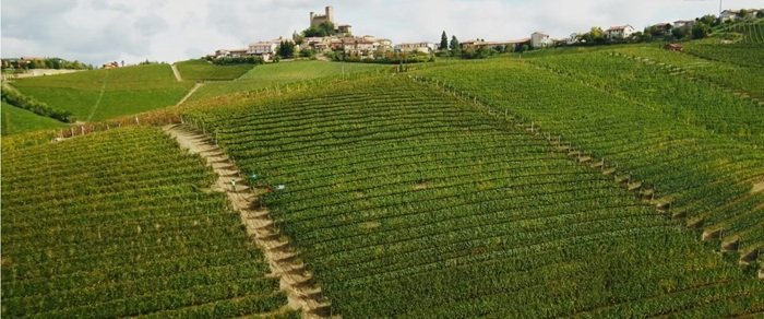 Vigna Rionda Barolo