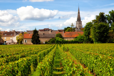 Meursault foto www.winetourism.com