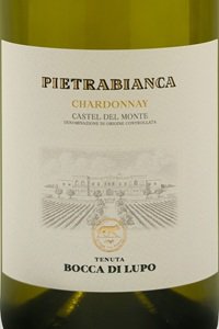 Castel del Monte Chardonnay Pietrabianca 2024 Bocca di Lupo