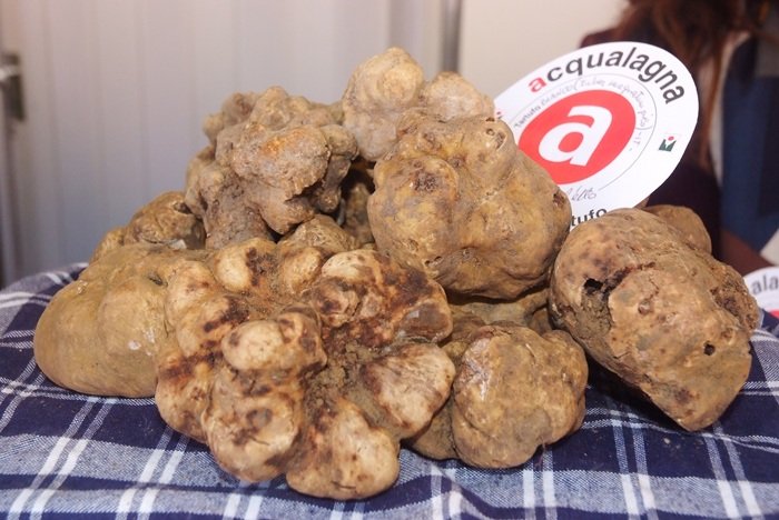 Fiera del Tartufo Acqualagna