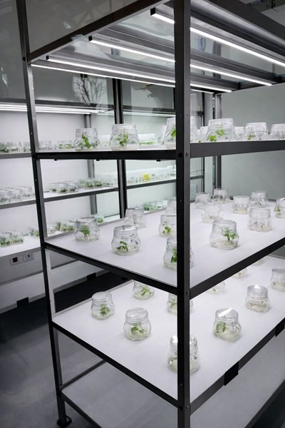 VCR la Glera del Futuro