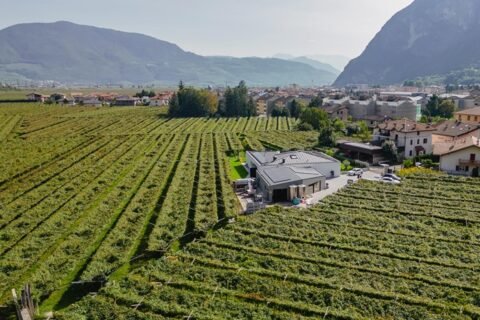 Cantina De Vigili, struttura e vigne