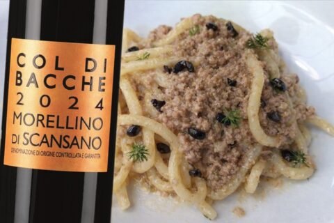 Pici al ragù bianco di cinta senese e Col di Bacche Morellino di Scansano 2024