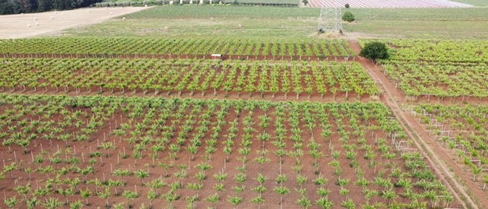 Cantina Santa Maria a Latina