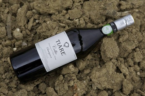 Collio Sauvignon Tiare on the ground