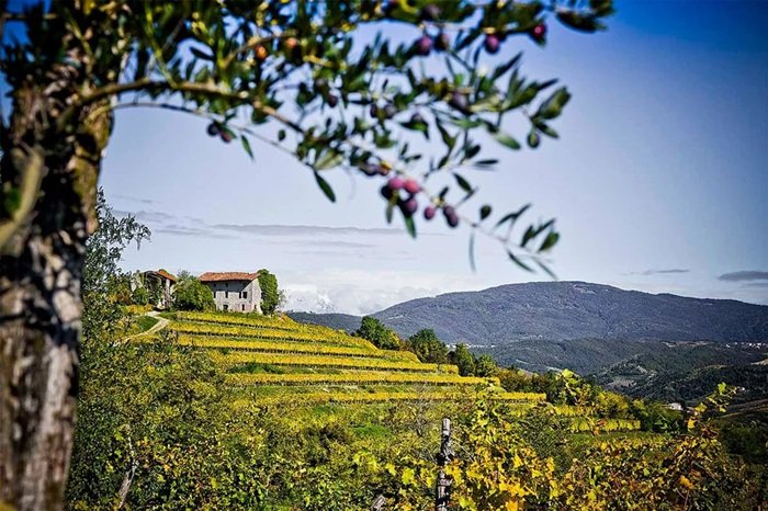 Collio e Colli Orientali: accordo storico per la promozione