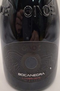 Emilia Lambrusco Bocanegra 2024 Oinoe