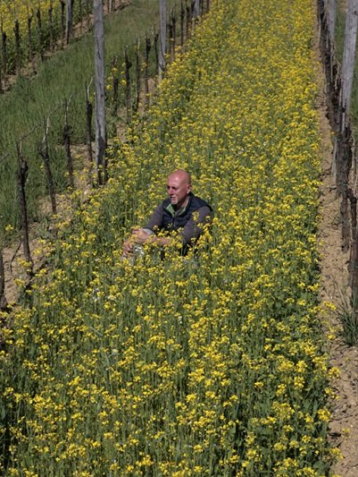 Roberto Snidaricig, Tiare gestione suolo
