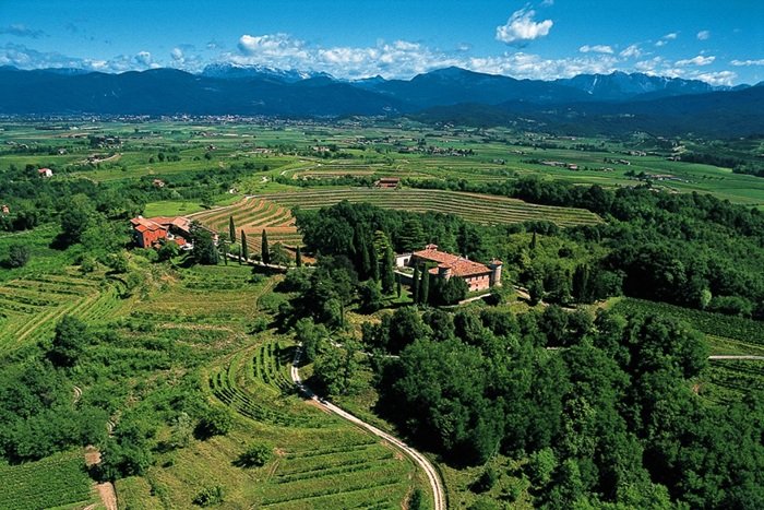 Colli Orientali del Friuli, Ipplis Rocca Bernarda