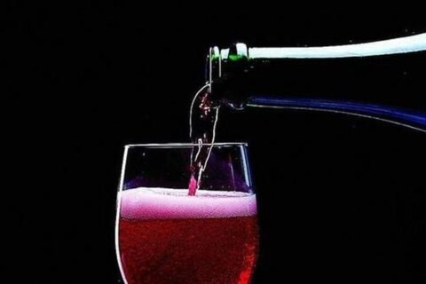 Lambrusco foto assoenologi