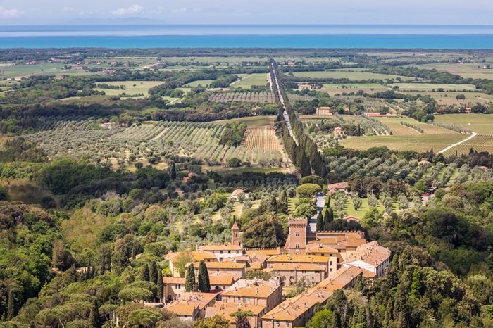 Bolgheri, viale dei cipressi, territorio