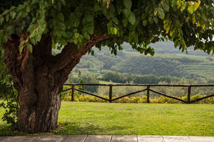 Costa Arente panorama