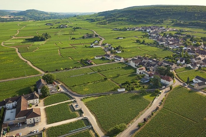 Chassagne Montrachet