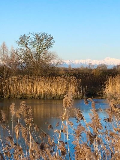 La Frassina, nicescolo