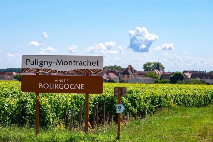 Puligny Montrachet