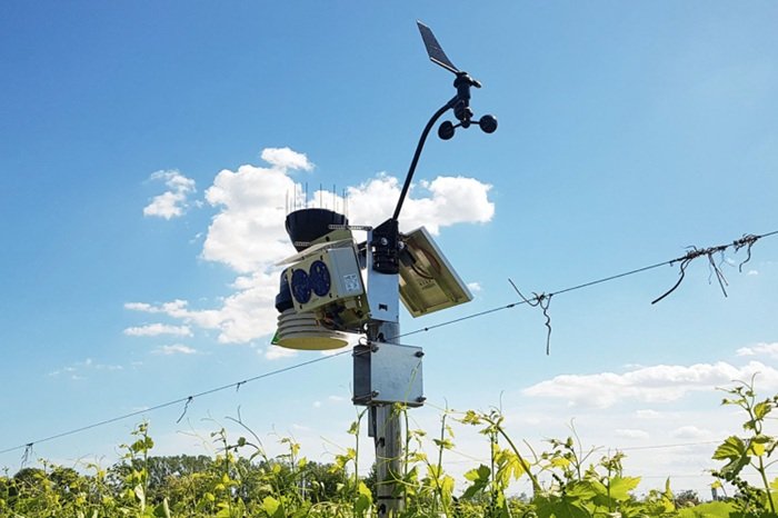 Ricerca e sostenibilità: il vino del futuro