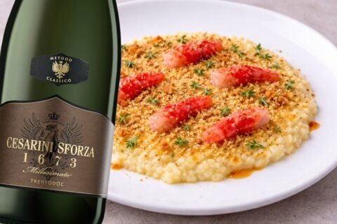 Risotto al limone e gamberi crudi con Trentodoc 1673 Brut Millesimato 2021 Cesarini Sforza