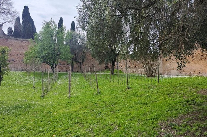 Vigna Barberini Colosseo Avgusto