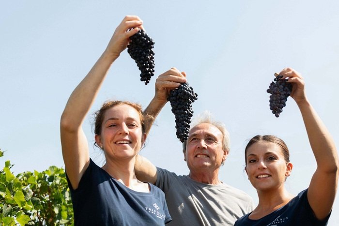 Tripolaia, Famiglia Persico