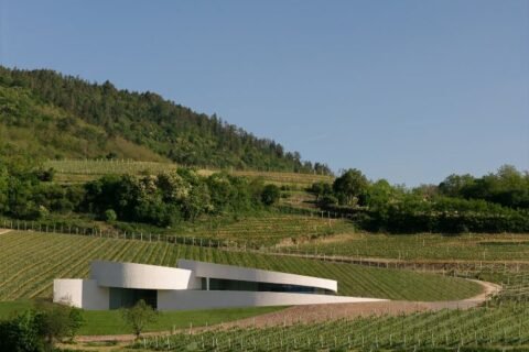 Moncalisse Trento Doc cantna Tobias Kaser