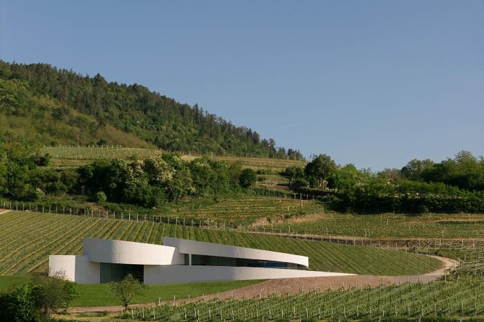 Moncalisse Trento Doc cantna Tobias Kaser