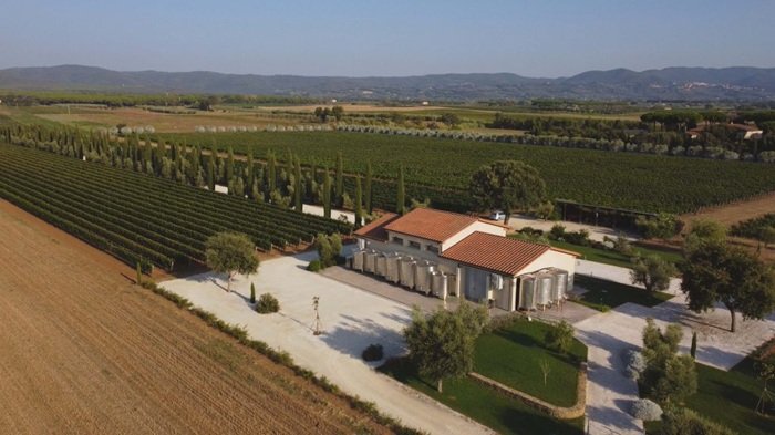 Tripolaia Bolgheri