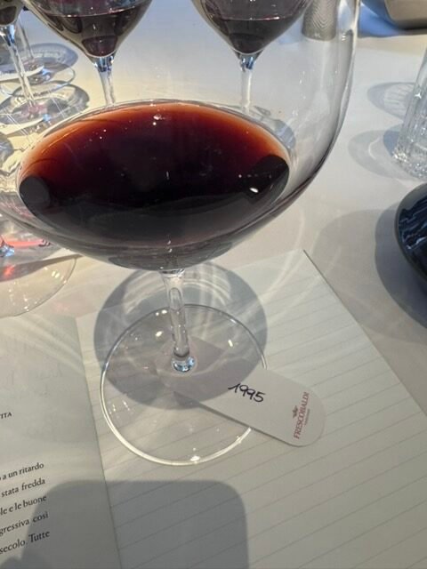 Brunello di Montalcino 1995 Castelgiocondo