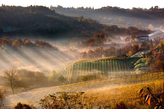 Colli di Conegliano, piccola denominazione veneta