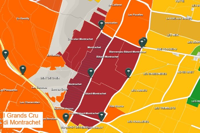 I Grands Cru di Montrachet mappa