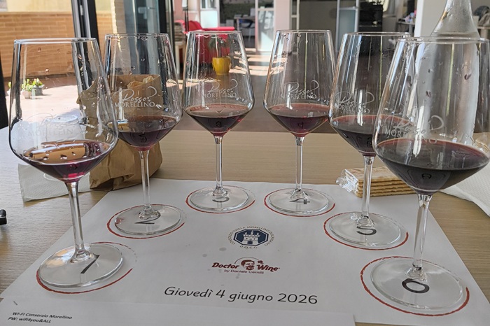 Morellino di Scansano Tasting Guide