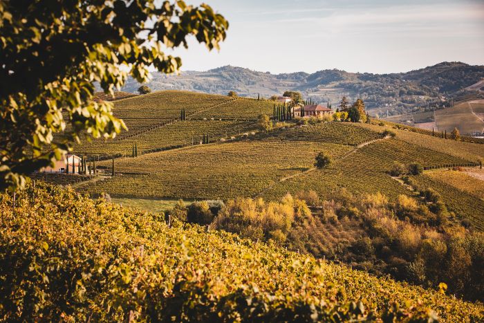 Nizza Docg vigneti