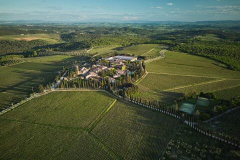 Borgo San Felice vigneti