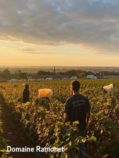 Domaine Ramonet