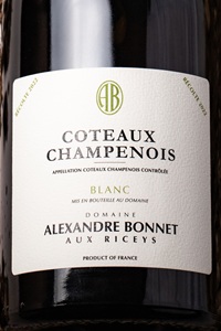 Alexandre Bonnet Coteaux Champenois Blanc 2022 