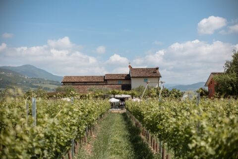 Buglioni Valpolicella