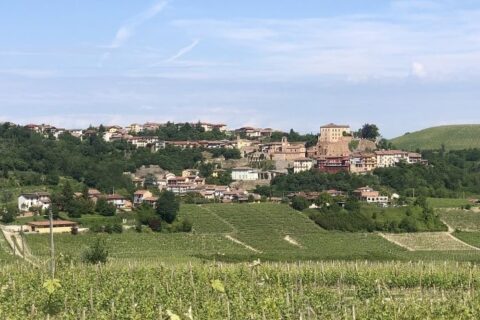 Castellinando e i suoi vigneti
